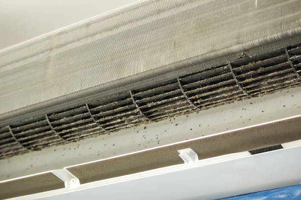 Best Air Duct Cleaning Near Me  in Creve Coeur, IL